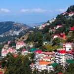 shimla