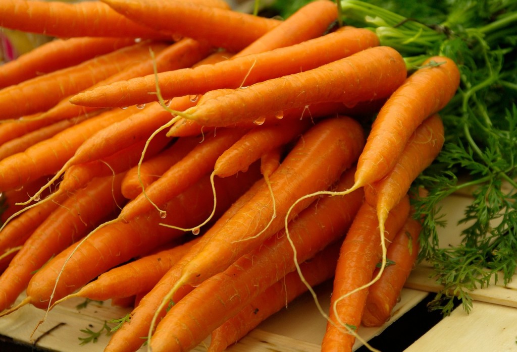 Carrot