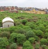 वृंदावन : मंदिर के लिए प्रसाद बनाने वाले 3 युवकों की हत्या