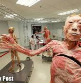 आस्ट्रेलिया में बनेगा पहला मानव शरीर संग्रहालय