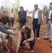 बैम्बूसेटम : आकार ले रहा देश का सबसे बांस बगीचा