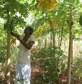 बुंदेलखंड : ग्याजीतपुरा के किसानों ने बदली तकदीर