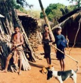 जीवन यापन के लिए आदिवासियों को आज भी अवसरों की तलाश