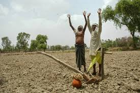 बुंदेलखंड : किसानों ने जंगलों में छोड़े मवेशी