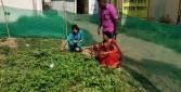झारखंड में महिलाएं ‘किचन गार्डन’ से दूर कर रहीं कुपोषण