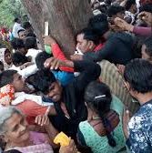 मप्र के होशंगाबाद में तहलका मचा गया एक महुआ के पेड़ का चमत्कारी होने का दावा ,पुलिस को लगानी पड़ी धारा 144