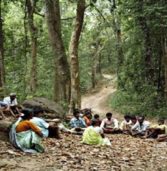 पलामू में सरकार काट रही है 3.5 लाख पेड़, प्रतिरोध में खड़े आदिवासी