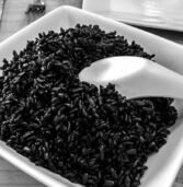 भारत:IRRI ने असम में बड़े पैमाने पर काले चावल के उत्पादन की योजना बनाई