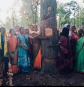 छग : हसदेव अरण्य में पेड़ कटाई का ग्रामीणों द्वारा विरोध,कोयला खदान के लिए काटे जा रहे पेड़