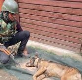 दो वर्षीय का AXEL 26 आर्मी डॉग यूनिट (Army Dog Unit) शहीद हुआ