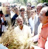 मुख्यमंत्री श्री चौहान ने किया विदिशा के ओला-वृष्टि प्रभावित गाँव का दौरा