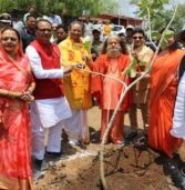 मुख्यमंत्री श्री चौहान ने ओंकारेश्वर में बरगद का पौधा रोपा