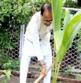 मुख्यमंत्री श्री चौहान ने नारियल का पौधा रोपा