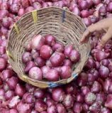 भोपाल में आसमान छू रहे प्याज के दाम
